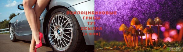 винт Инта