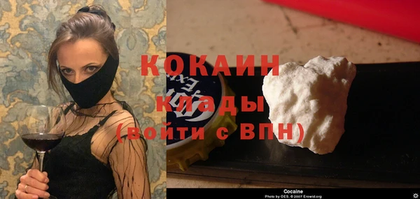 дживик Пересвет