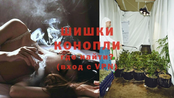 винт Инта