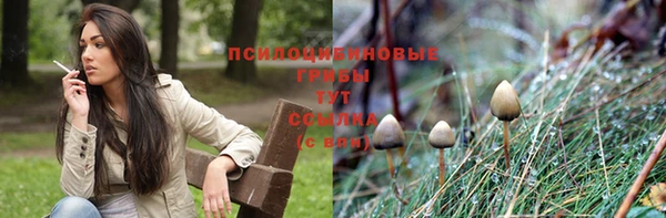 гашишное масло Осинники